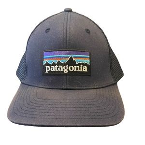 Patagonia P-6 Logo LoPro Trucker Hat